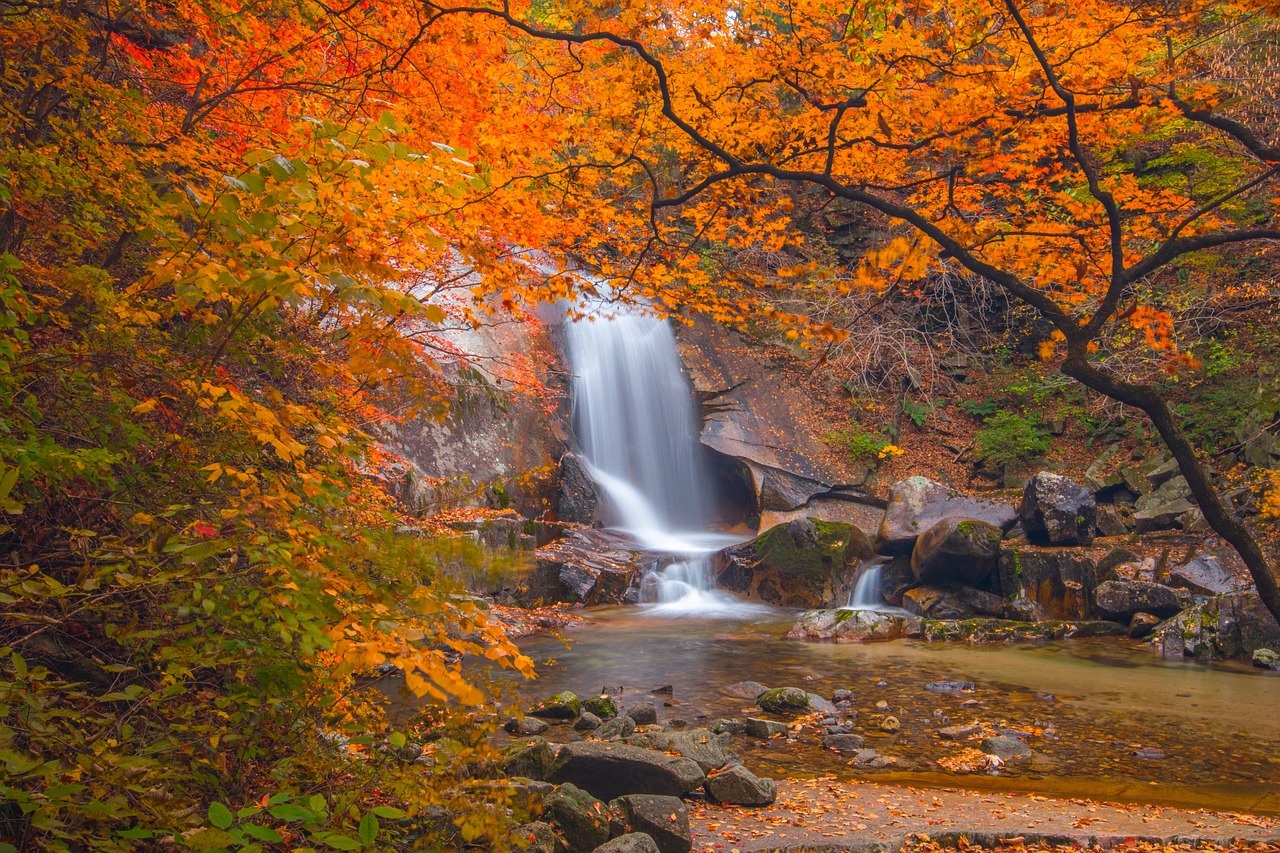 法人口座開設で審査が落ちる原因とは？