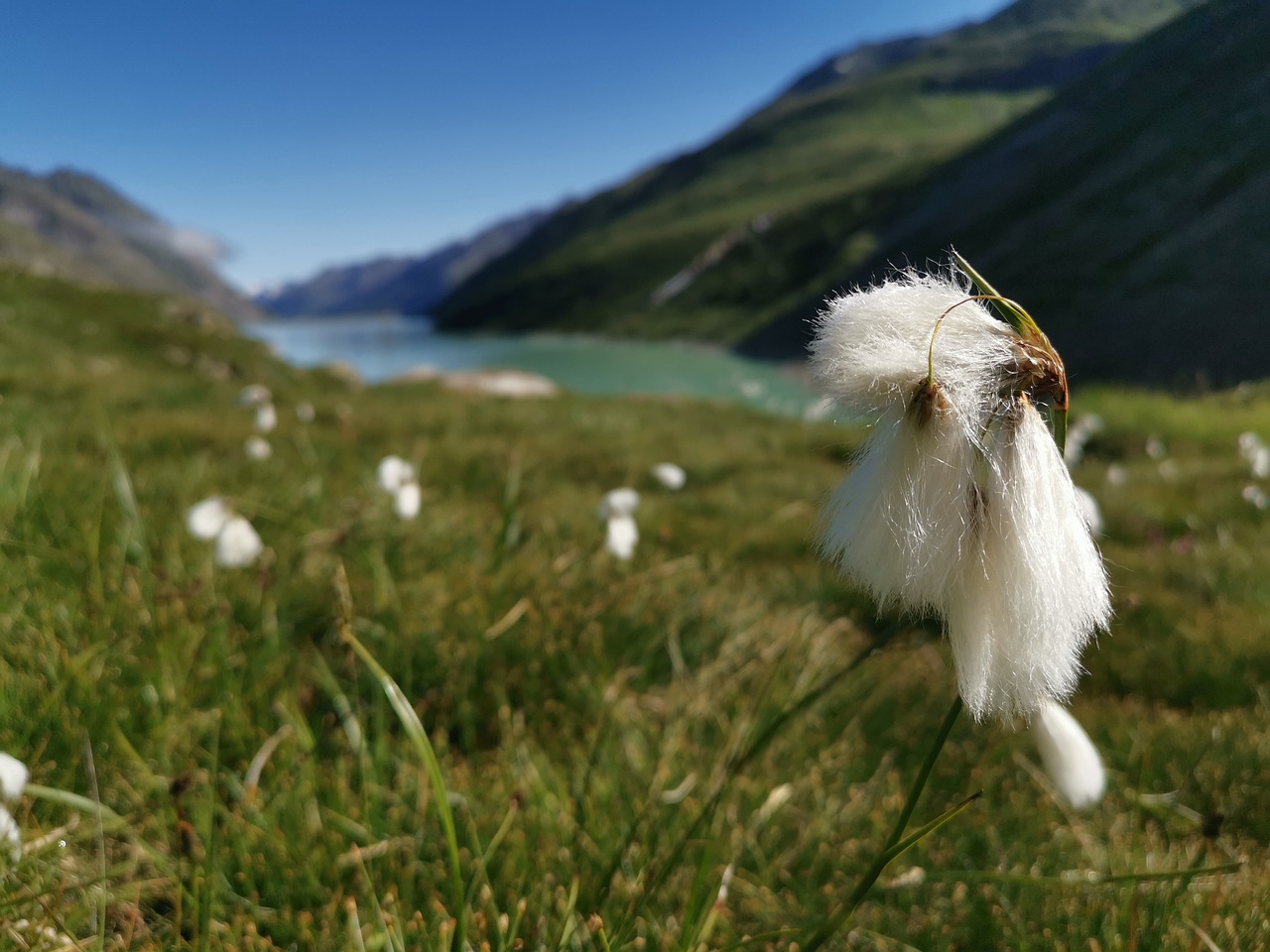 SaaSの会社設立に必要な資本金はいくらですか？