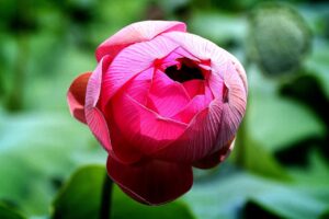 会社設立時に知っておきたい決算月のおすすめは？